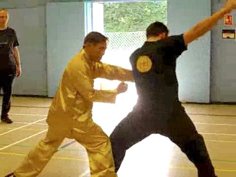 Shaolin Tantui