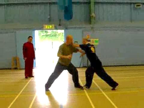 Shaolin Tantui