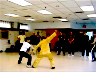 Shaolin Tantui