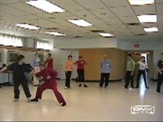 12 Combat Sequences of Shaolin Tantui