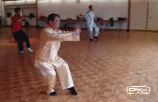 Shaolin Combat Sequences