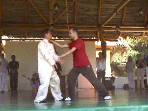 Wahnam Taijiquan