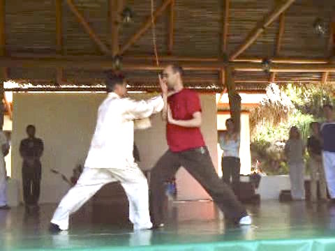 Wahnam Taijiquan