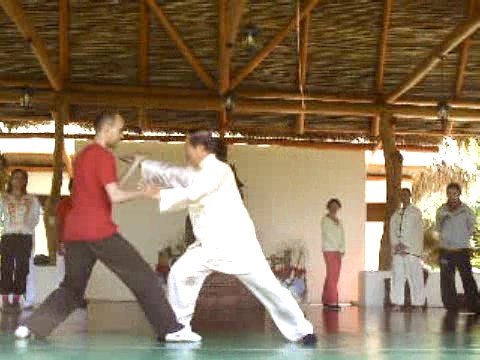 Wahnam Taijiquan