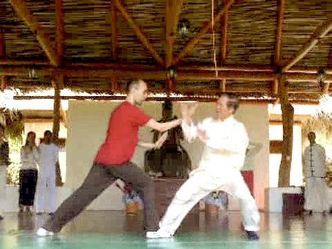 Wahnam Taijiquan