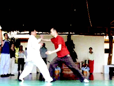 Wahnam Taijiquan