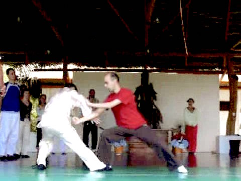 Wahnam Taijiquan