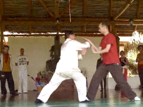 Wahnam Taijiquan