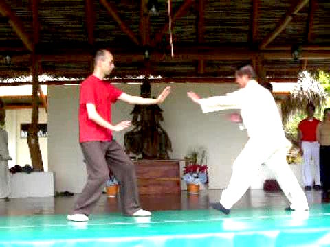 Wahnam Taijiquan