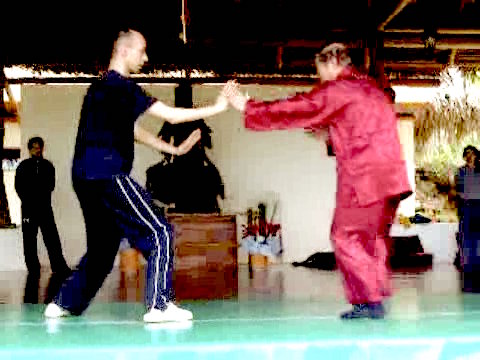 Wahnam Taijiquan