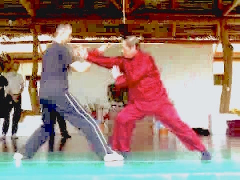 Taijiquan on Blue Mountain