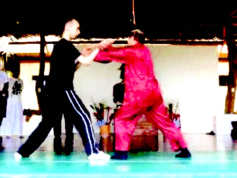 Wahnam Taijiquan