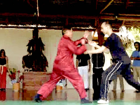 Wahnam Taijiquan