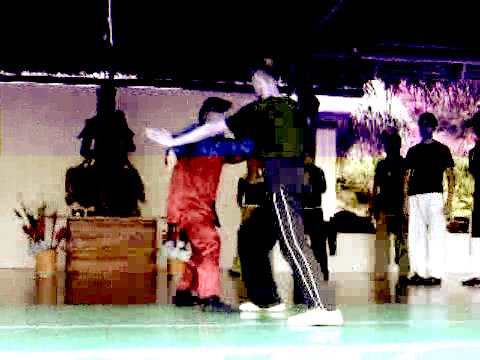 Wahnam Taijiquan