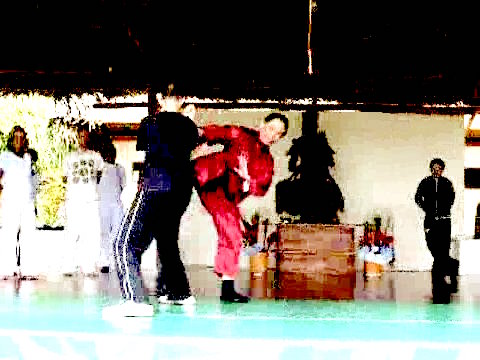 Wahnam Taijiquan