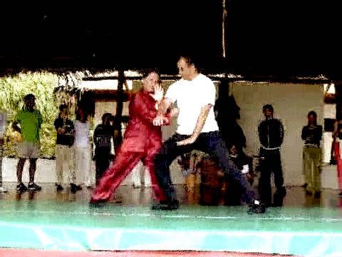 Wahnam Taijiquan