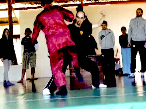 Wahnam Taijiquan