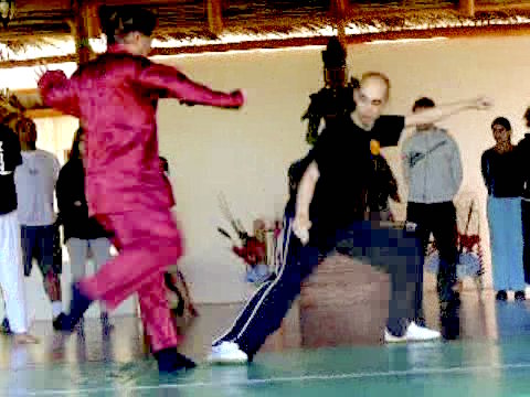 Taijiquan 12 Combat Sequences