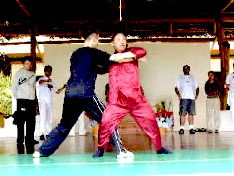 Wahnam Taijiquan