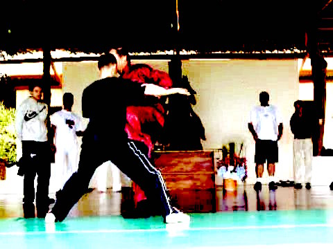 Wahnam Taijiquan