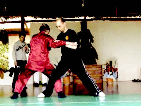 Wahnam Taijiquan