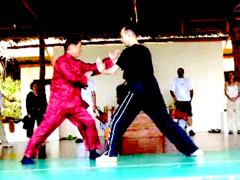 Wahnam Taijiquan