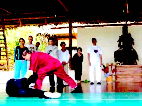 Wahnam Taijiquan