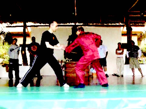 Wahnam Taijiquan