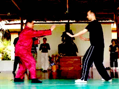 Wahnam Taijiquan