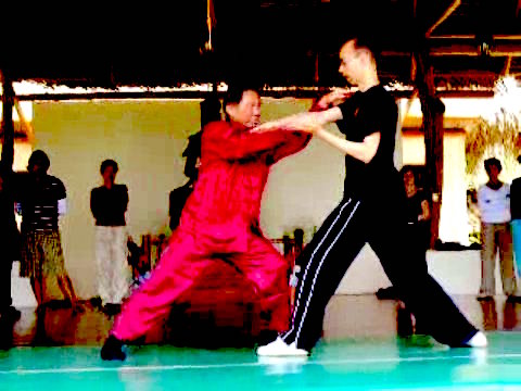 Wahnam Taijiquan