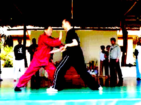 Wahnam Taijiquan