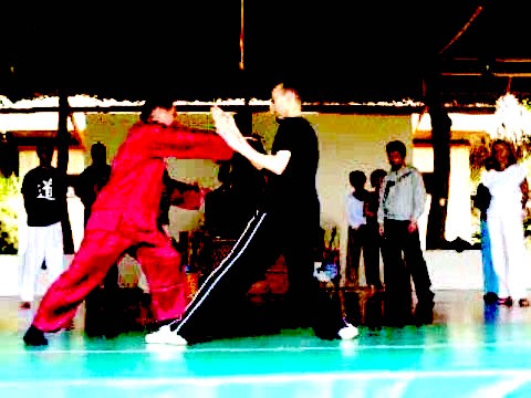 Wahnam Taijiquan