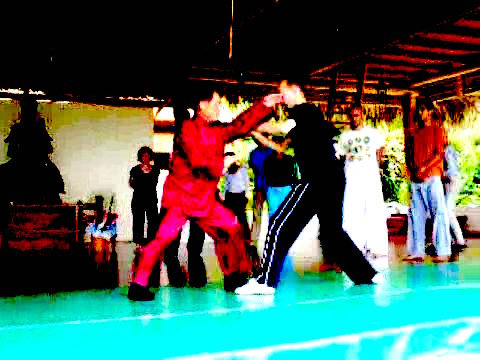 Wahnam Taijiquan