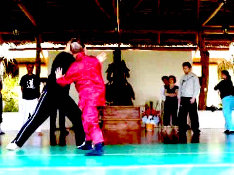 Wahnam Taijiquan