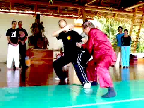 Wahnam Taijiquan