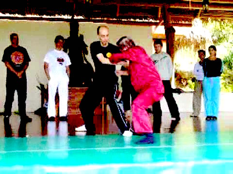 Wahnam Taijiquan