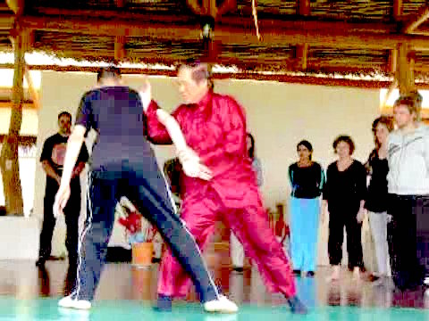 Wahnam Taijiquan