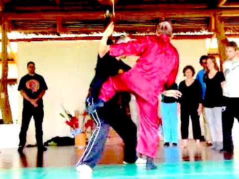 Wahnam Taijiquan