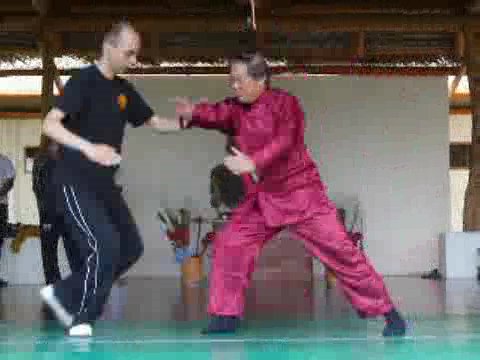 Taijiquan