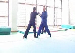 Wahnam Taijiquan