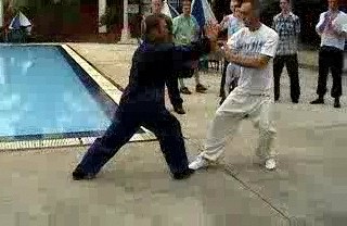 Wahnam Taijiquan Combat Sequences