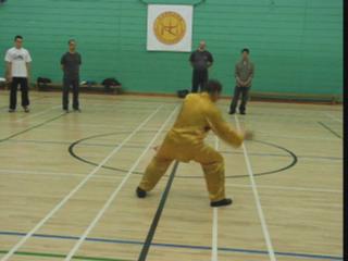 Shaolin Kungfu