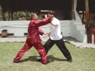 Eagle Claw Kungfu