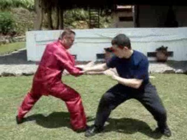 Eagle Claw Kungfu