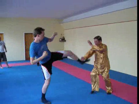 shaolin kungfu