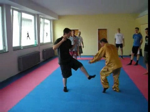 shaolin kungfu