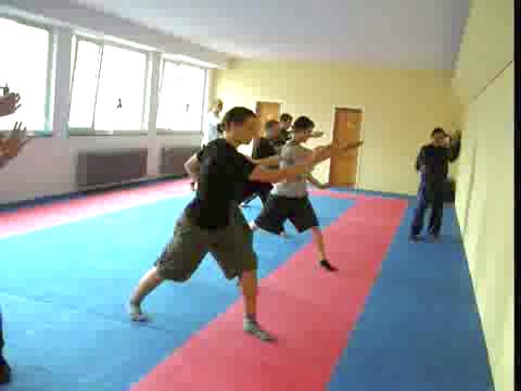 shaolin kungfu