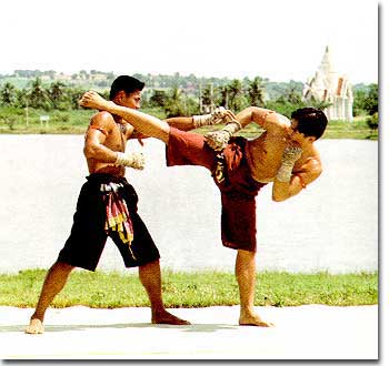 Muay Thai Counters