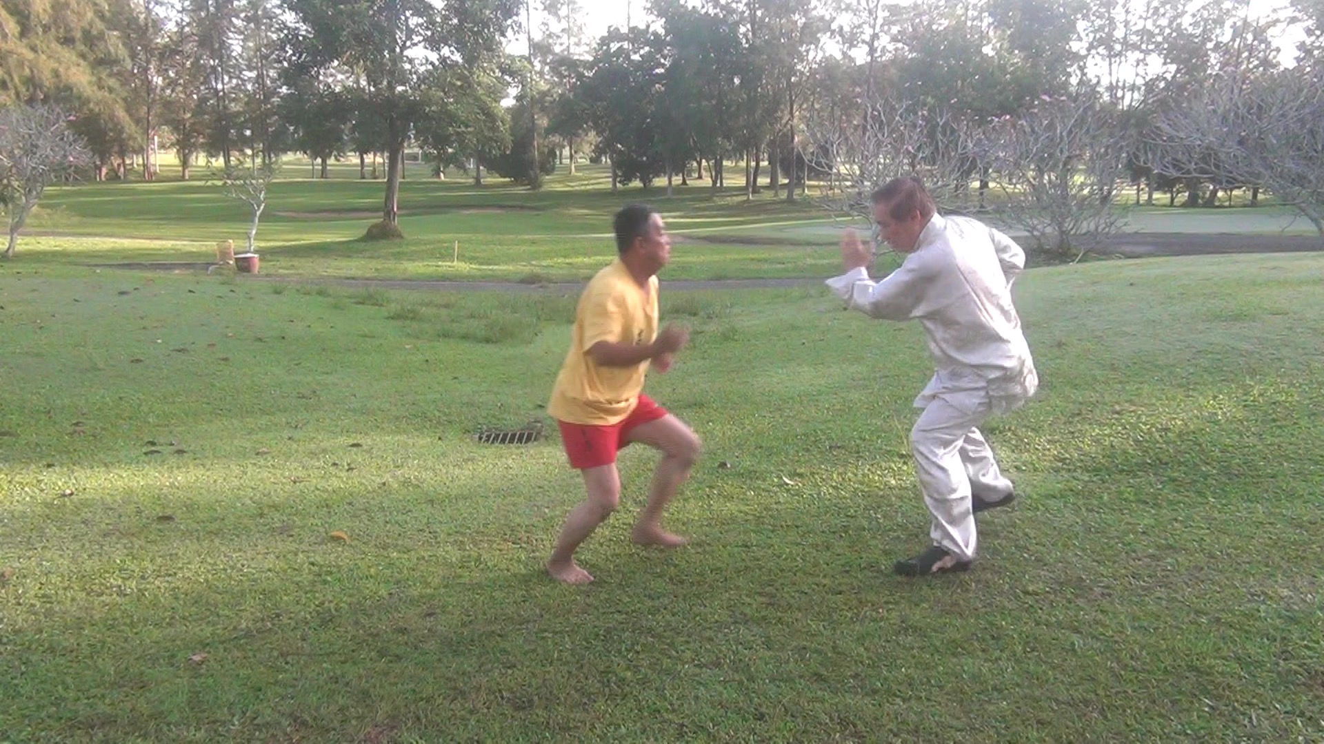 Muay Thai Counters