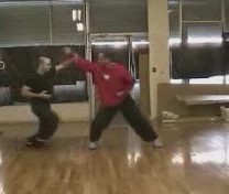 kungfu sparring